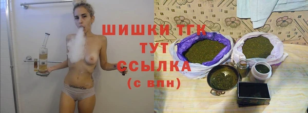 стафф Великий Новгород