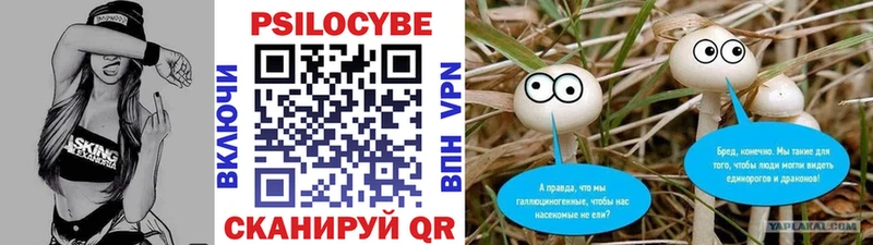 Псилоцибиновые грибы прущие грибы  купить наркоту  Бабаево 